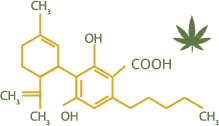 CBDA - molecul