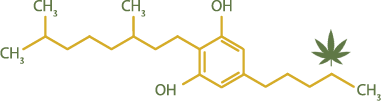 CBG - molecul