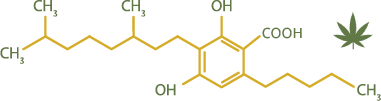 CBGA - molecul