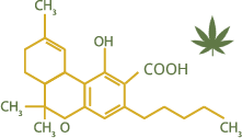 THCA - molecul